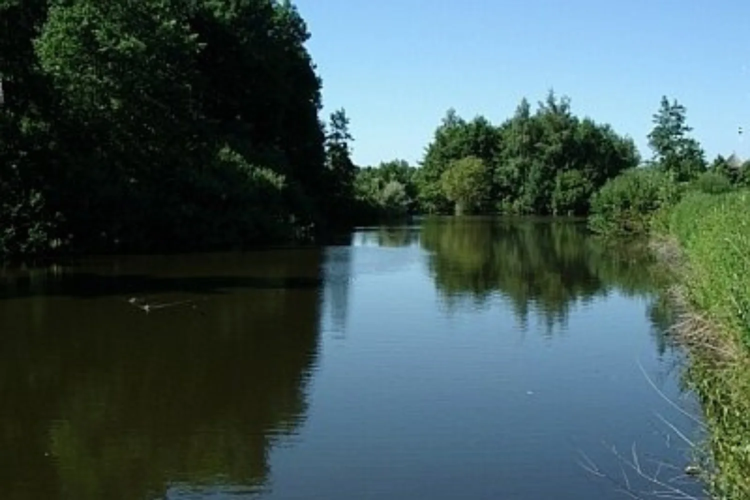 Priestersee in Oldenburg (1)