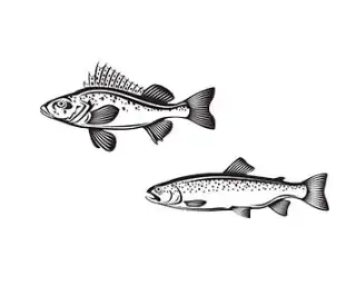 fische